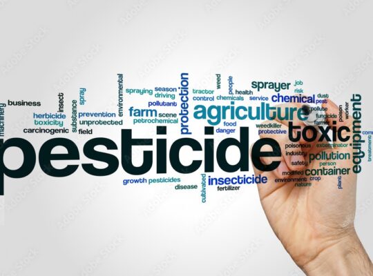 Impact of Pesticide Residues on Produce