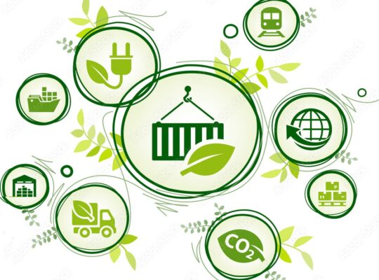 Navigating the Weave of Sustainable Supply Chain Practices