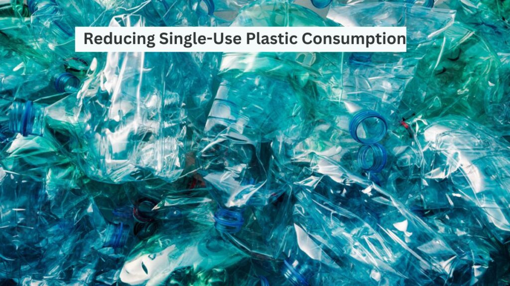 Reducing Single-Use Plastic Consumption for a Healthier You and a Greener Planet