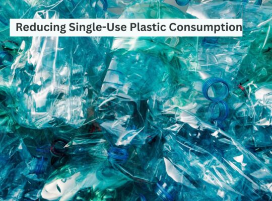 Reducing Single-Use Plastic Consumption for a Healthier You and a Greener Planet