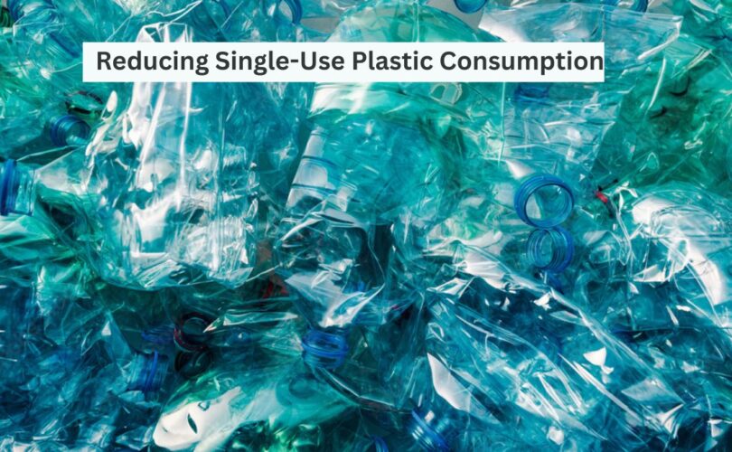Reducing Single-Use Plastic Consumption for a Healthier You and a Greener Planet
