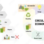 Revolutionizing Sustainability: Circular Economy Strategies for a Greener Tomorrow