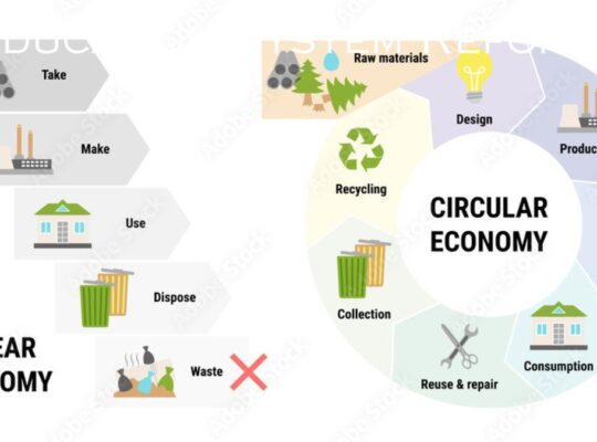 Revolutionizing Sustainability: Circular Economy Strategies for a Greener Tomorrow