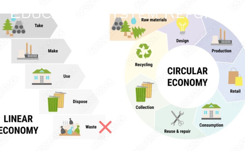 Revolutionizing Sustainability: Circular Economy Strategies for a Greener Tomorrow