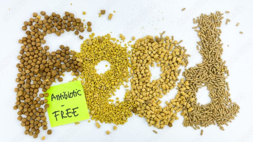 Why You Should Opt for Antibiotic-Free Meat Products