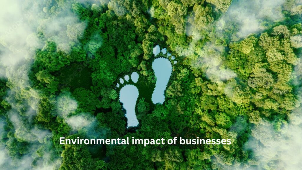 Why Environmental Impact Assessments Are Now Essential