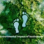 Beyond Profit: How Environmental Impact Assessments Can Future-Proof Business