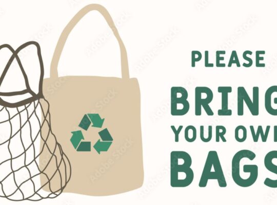 Bringing Your Own Reusable Bags and Containers