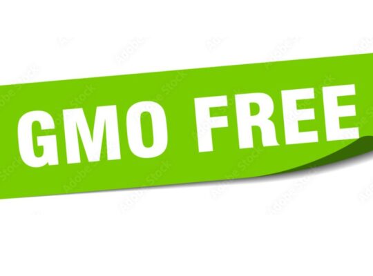 A Guide to Understanding and Identifying Genetically Modified Foods