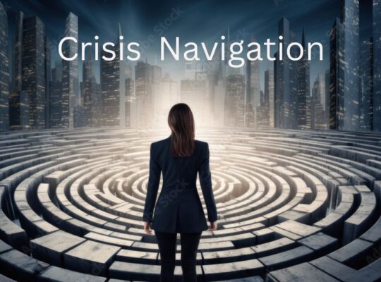 Strategic Planning for Effective Crisis Navigation