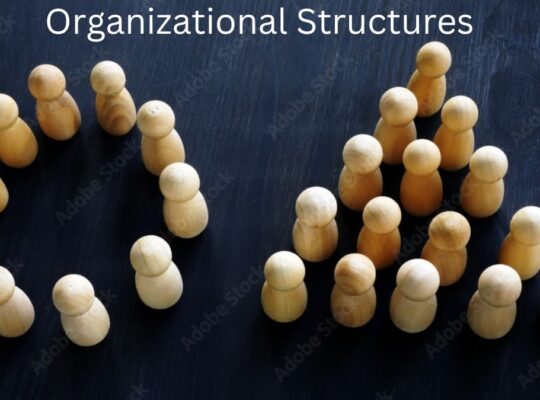 Balancing Hierarchical and Flat Organizational Structures