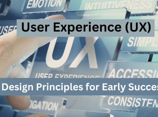 User Experience (UX) Design Principles for Early Success