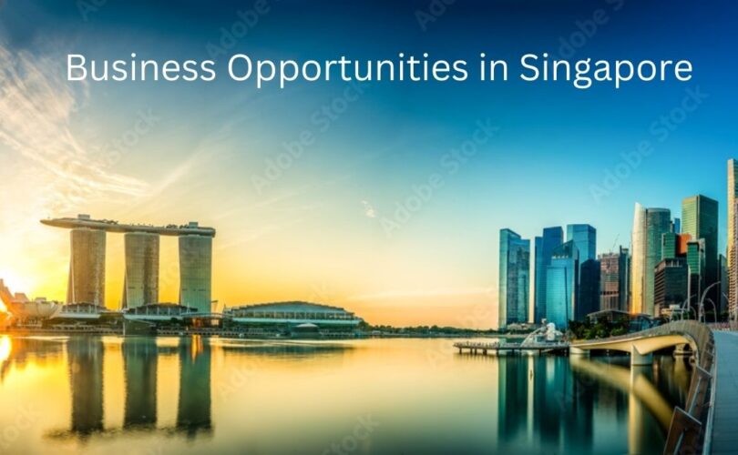 Unveiling Lucrative Business Opportunities in Singapore