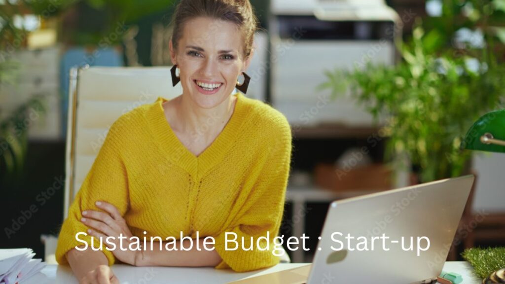 Building a Sustainable Budget for a Growing Start-up