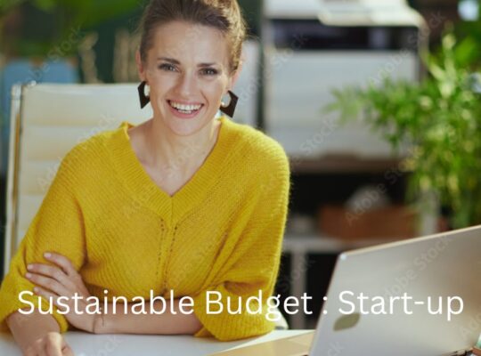 Building a Sustainable Budget for a Growing Start-up