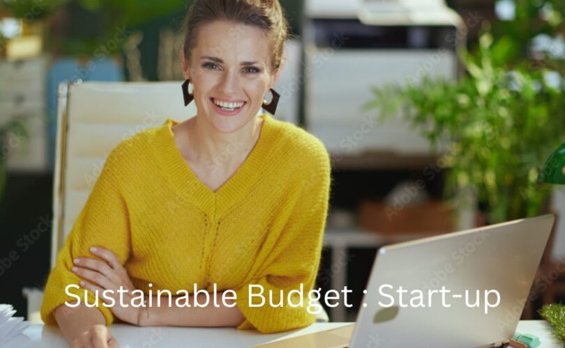 Building a Sustainable Budget for a Growing Start-up